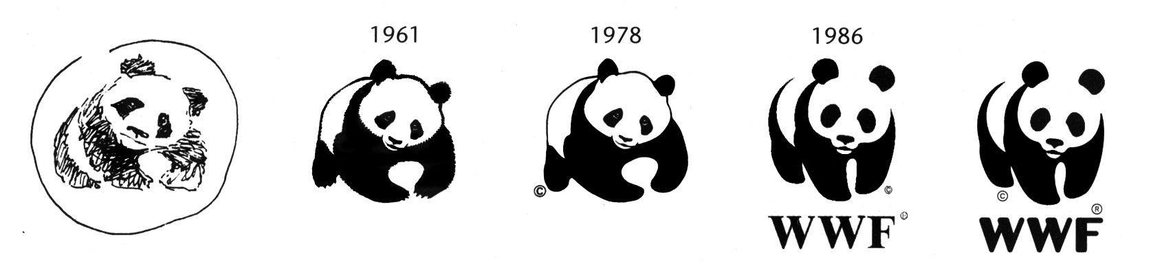 50 years of the WWF logo
