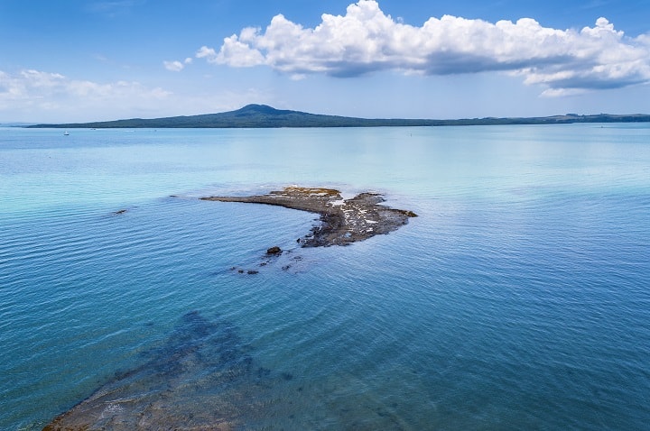 Hauraki Gulf Submissions | WWF-New Zealand