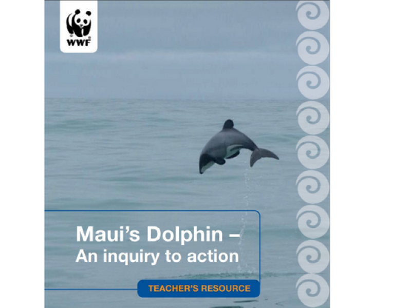 Maui dolphin resource