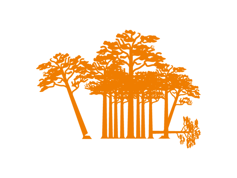 Adopt a Tiger - Habitat loss