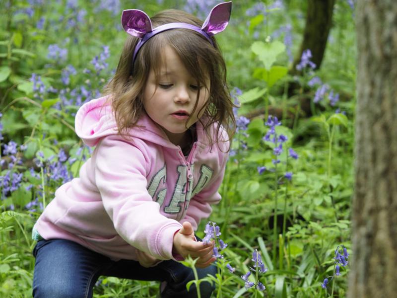 Girl in wood