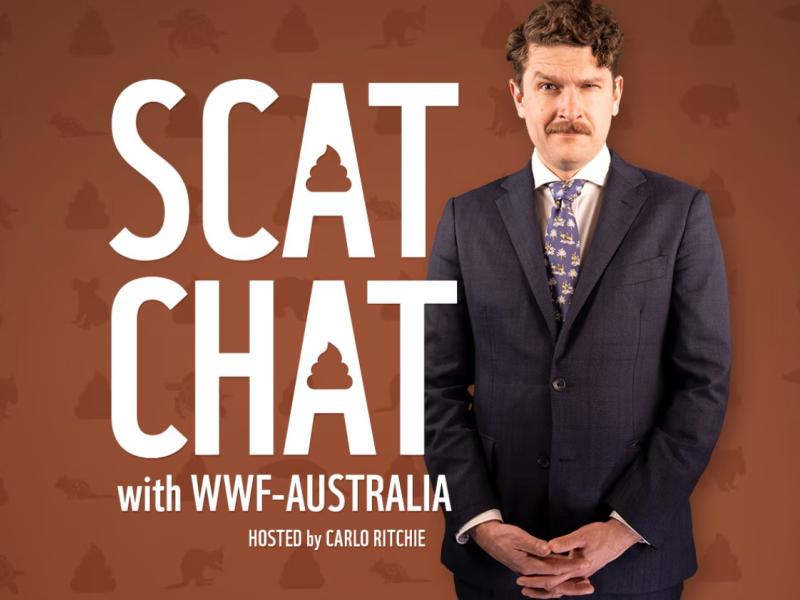 scat chat cover image
