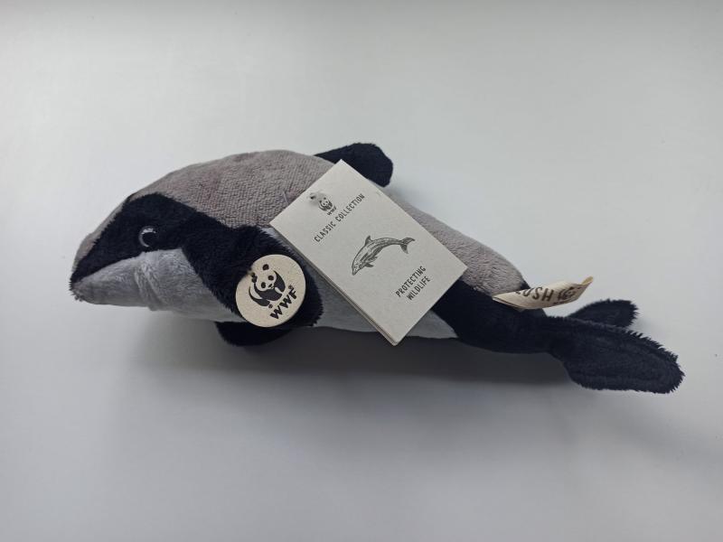Maui dolphin soft toy