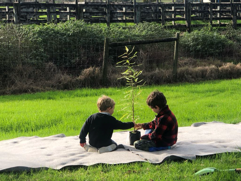 Children planting tree