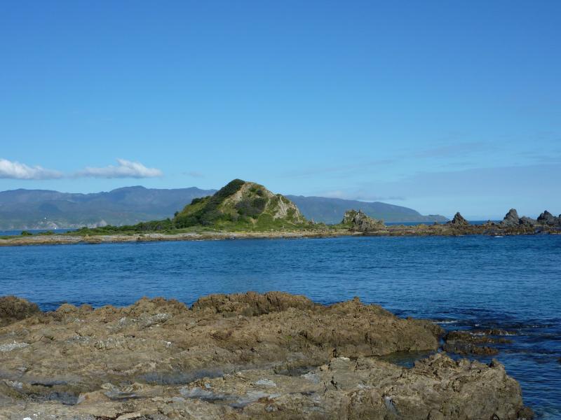 Island Bay, Wellington NZ