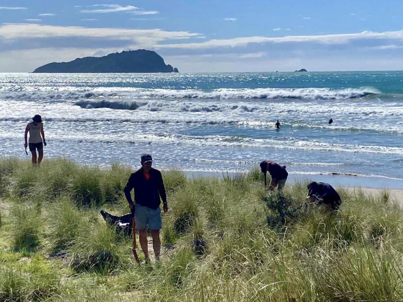 Dune protection society volunteers