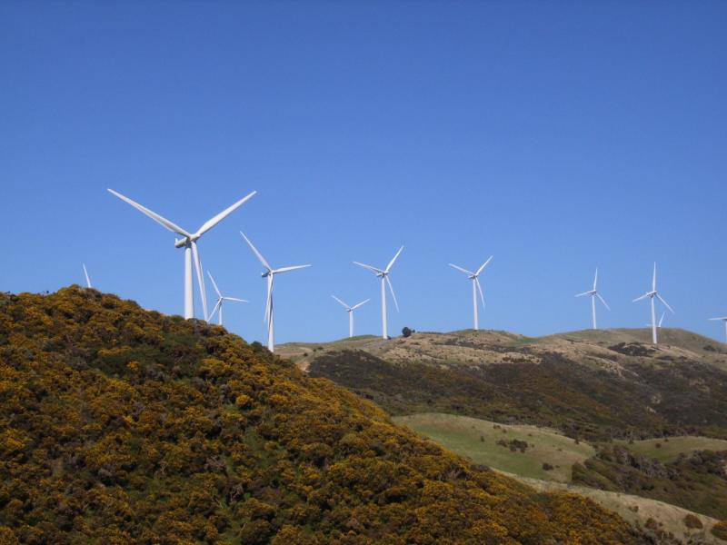 Image of a windfarm at Makara