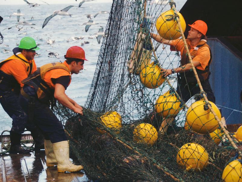 Hauling fishing gear