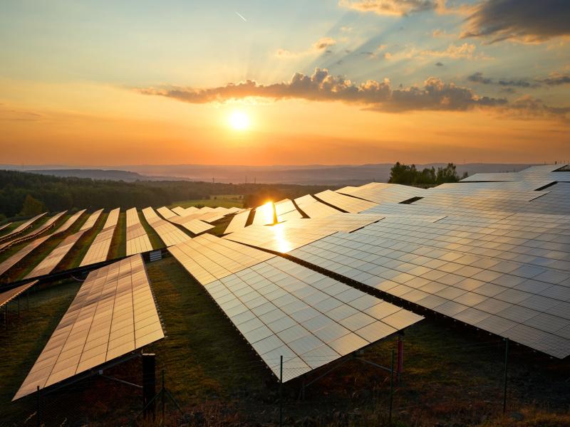 Solar panel arrays at sunrise