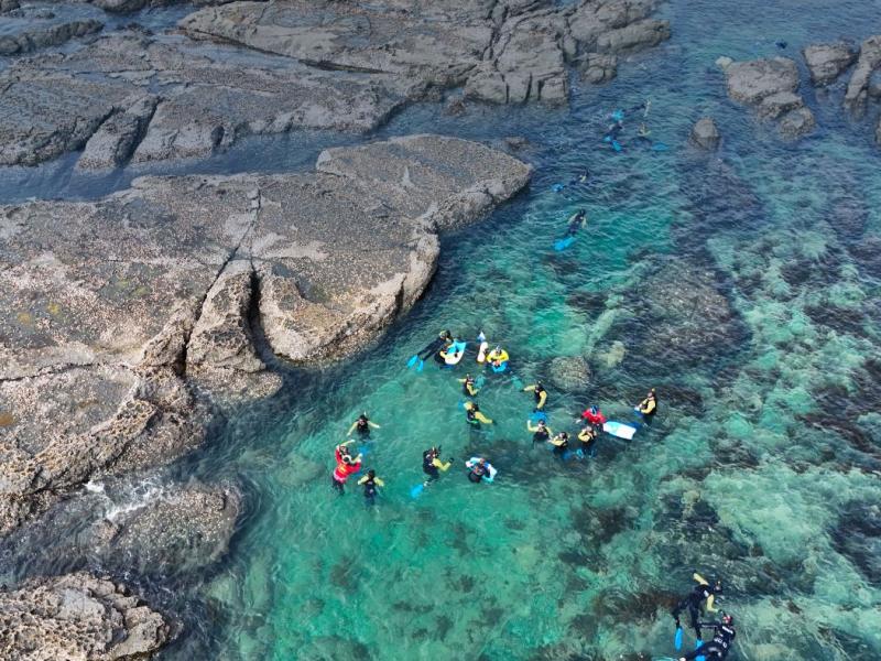 Te Kohuroa Rewilding volunteers restoring a rocky reef habitat.