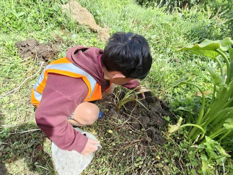 Image of a child involved in tree planting and river restoration