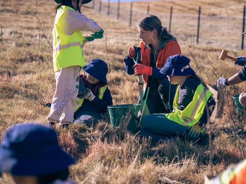 Image of community planting