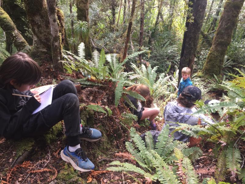 Image of children learning in the forest