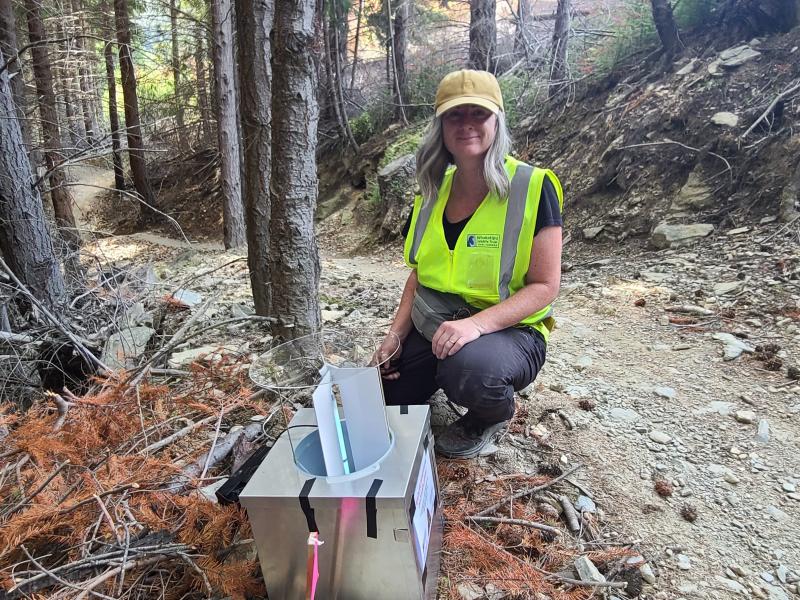Anna setting up conifer forest moth trap