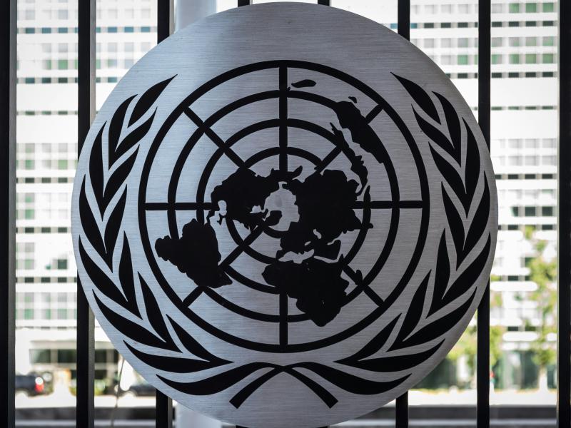 Image of the United Nations logo