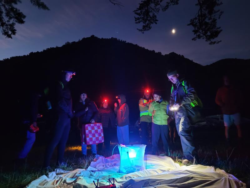 Community groups go bat spotting