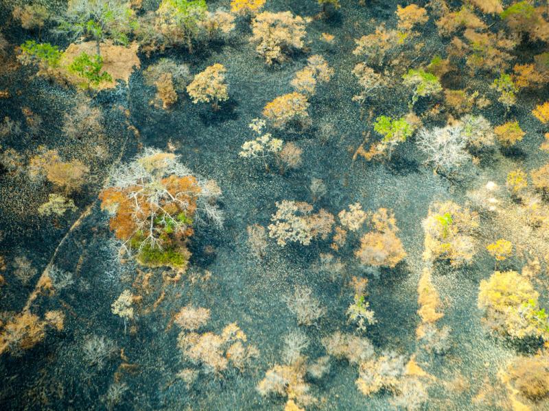 Aerial shot of Selous Game Reserve. Selous, Tanzania.