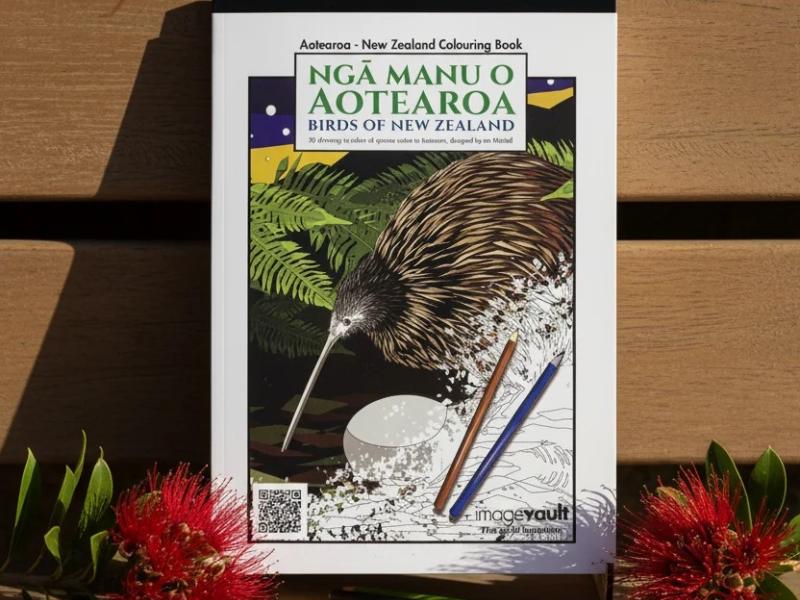 Cover of book