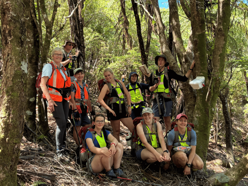 Conversation group in forest