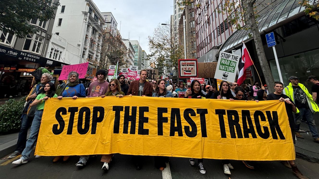 Image of March for Nature protest