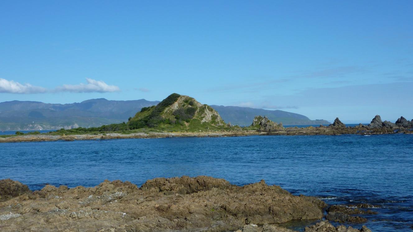 Island Bay, Wellington NZ