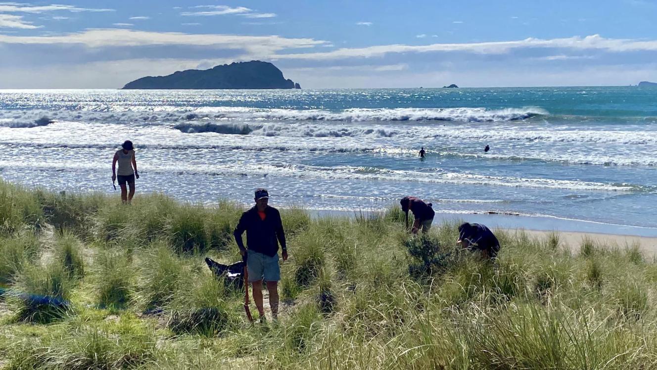 Dune protection society volunteers
