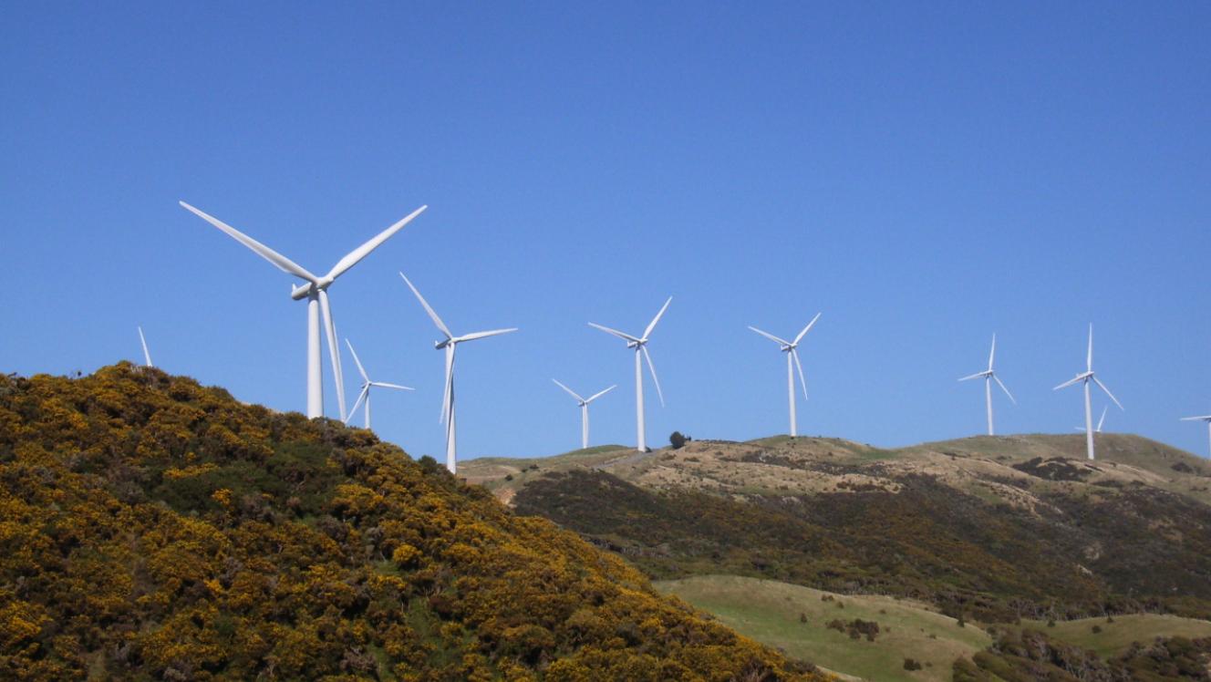 A windfarm at Makara
