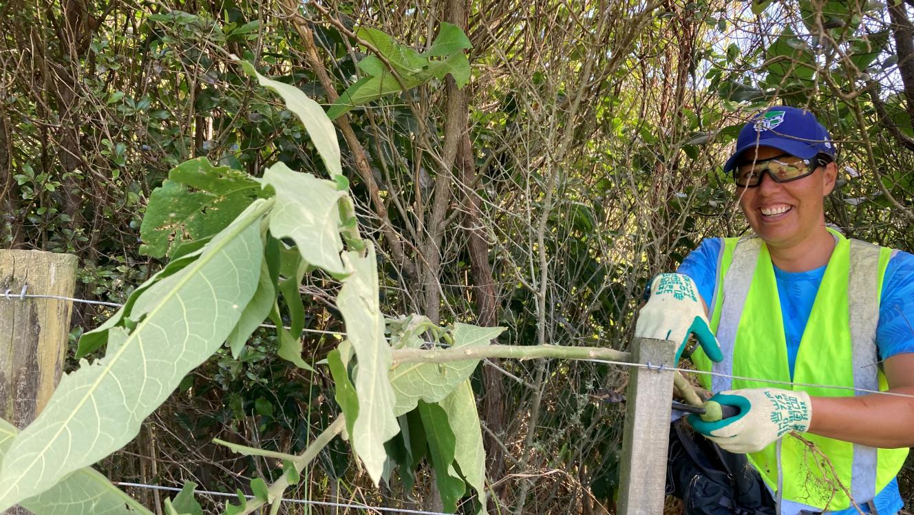 A weeding volunteer for Project Island Song.