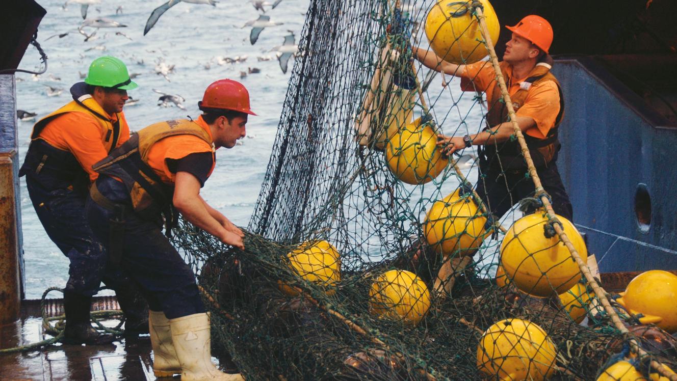 Hauling fishing gear
