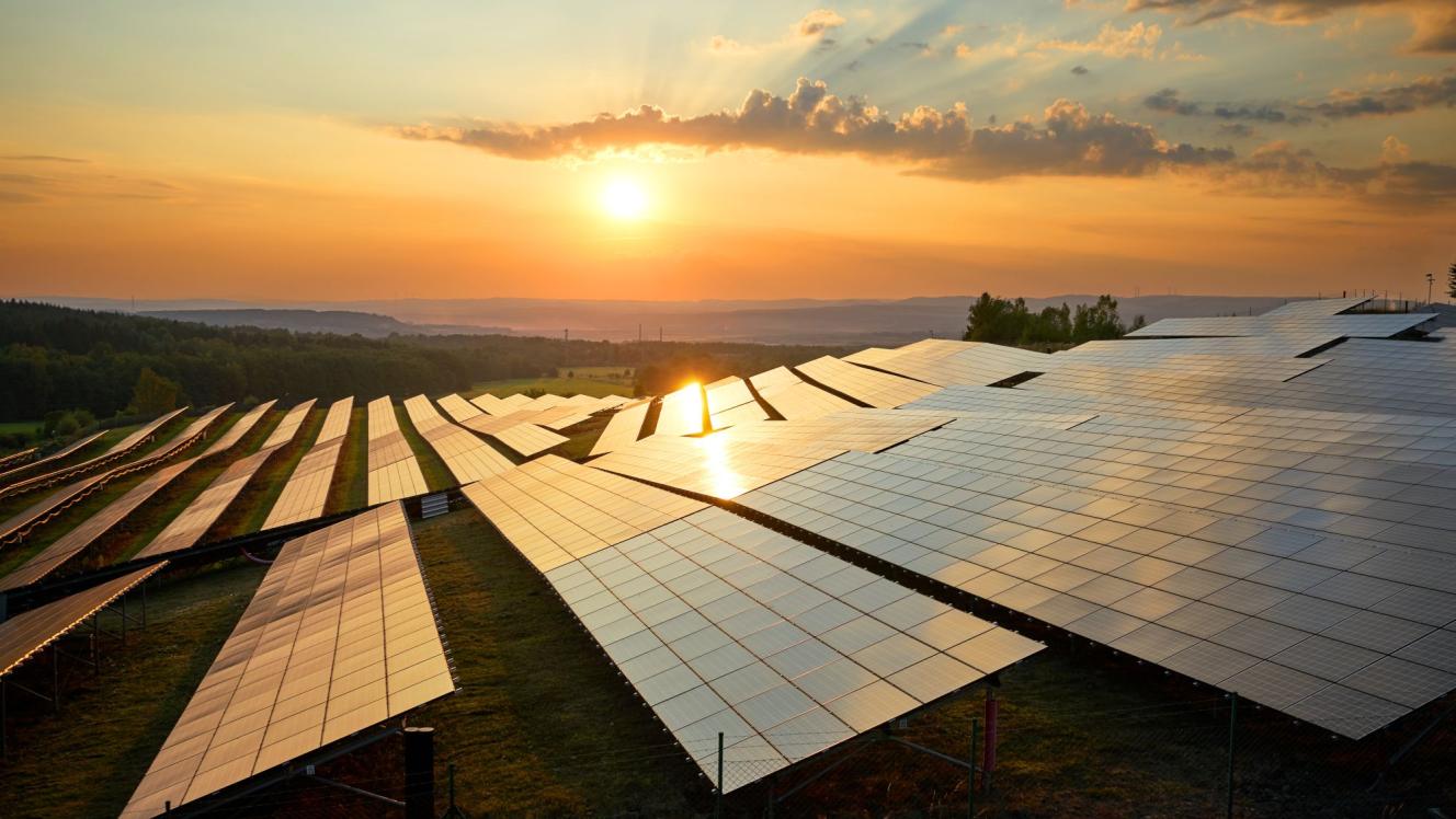 Solar panel arrays at sunrise