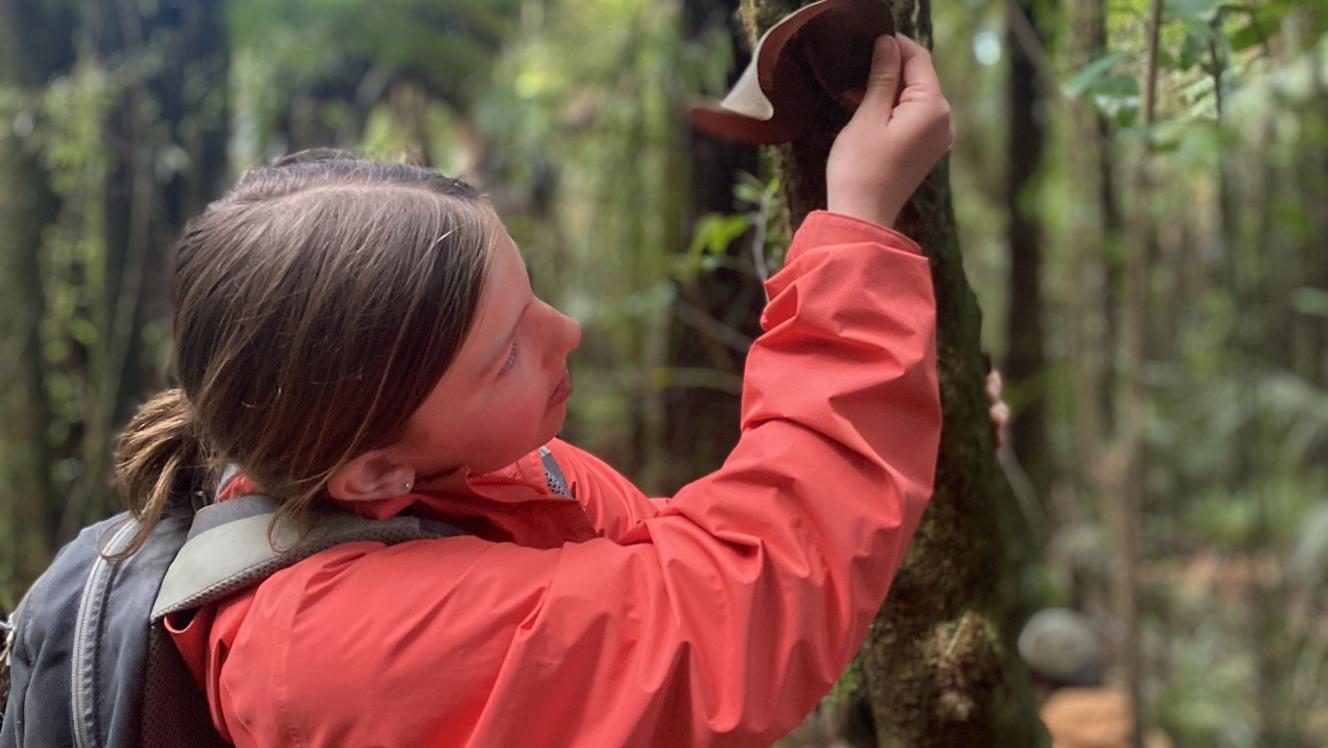 © A ROCHA AOTEAROA NEW ZEALAND / THE KARIOI PROJECT