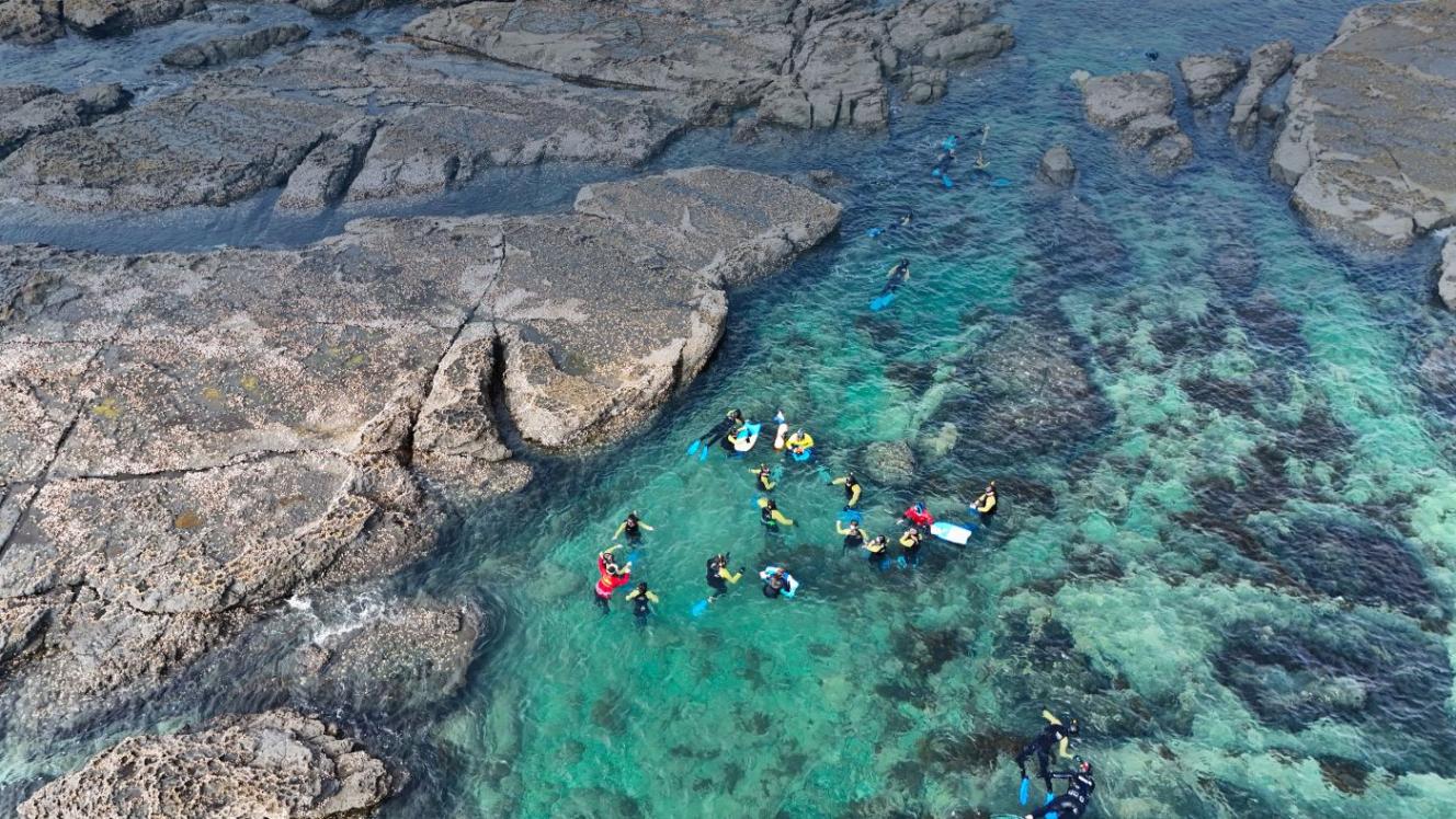 Te Kohuroa Rewilding volunteers restoring a rocky reef habitat.