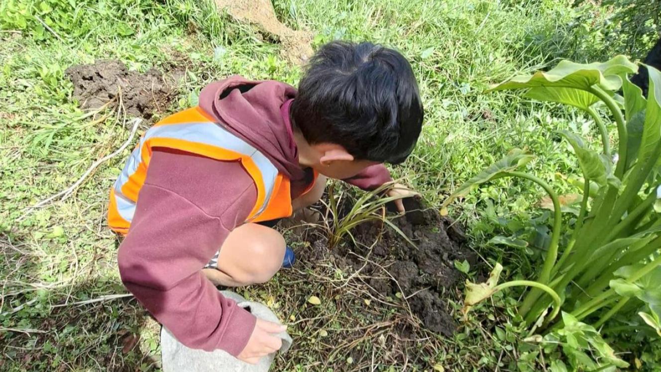 Image of a child involved in tree planting and river restoration