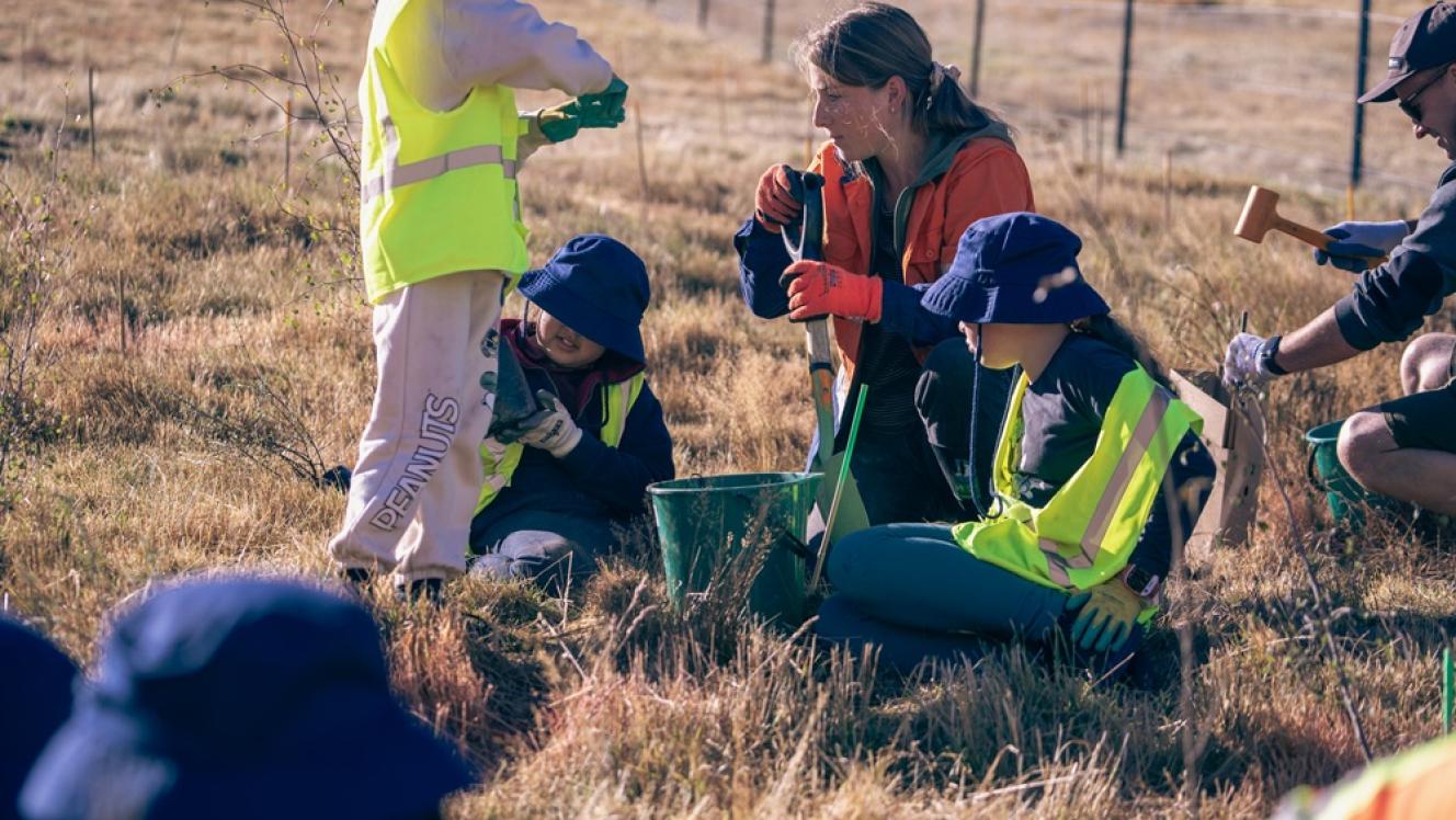 Image of community planting
