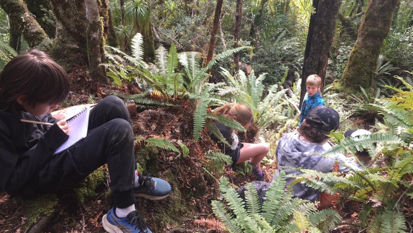 Image of children learning in the forest