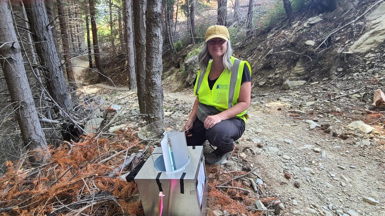 Anna setting up conifer forest moth trap