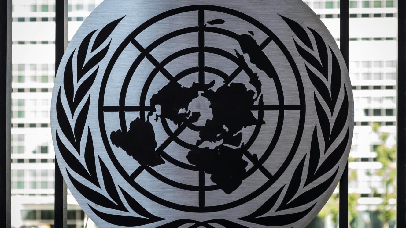 Image of the United Nations logo