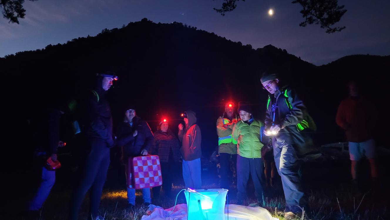 Community groups go bat spotting